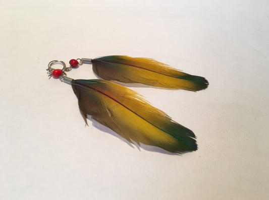 Feather earrings
