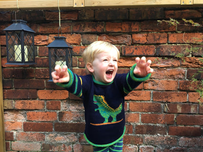 Tyrannosaurus Rex Dinosaur alpaca jumper, Boy Alpaca Jumper Dinosaur motif, Boy Alpaca Jumper Sweater Dinosaur motif,